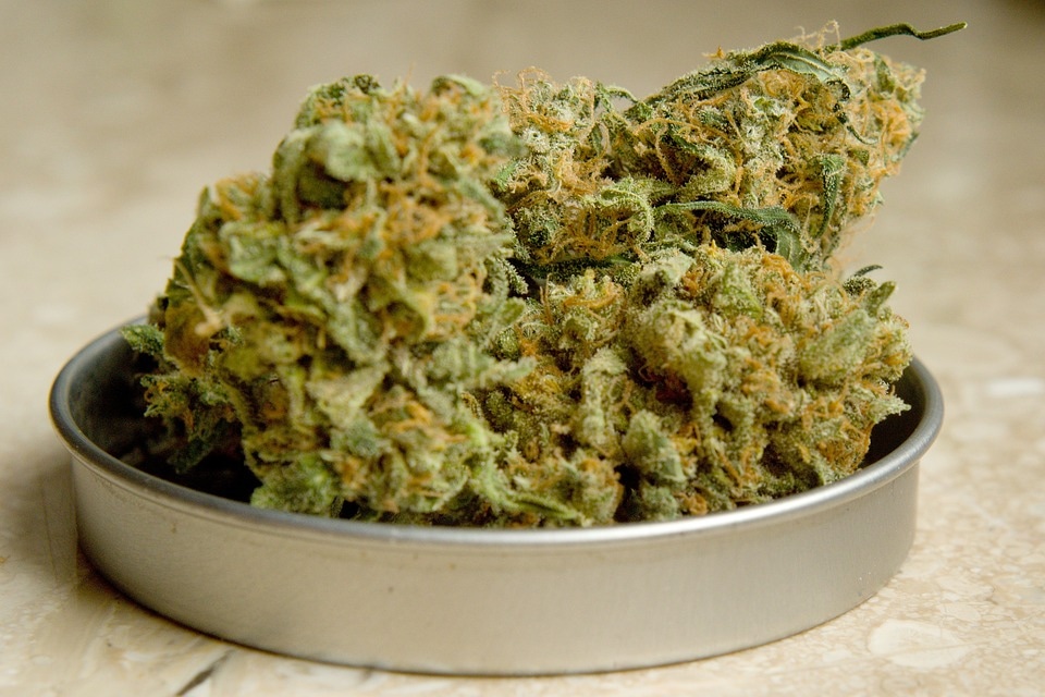 America’s Trusted Relief Shop: Buy Therapeutic Cannabis Online