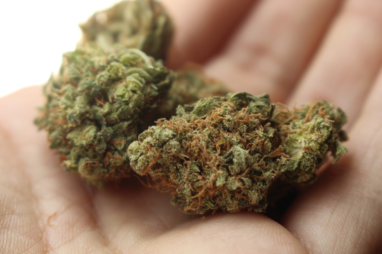 America’s Trusted Relief Shop: Buy Therapeutic Cannabis Online