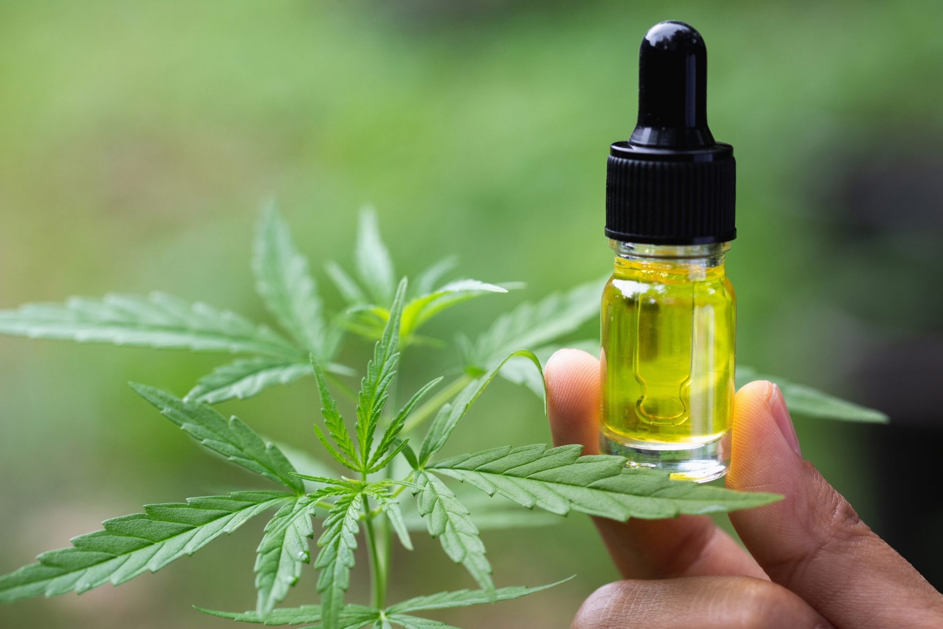 Guide to Legal Cannabis and CBD in the UK: Understanding Options and Safe Sources