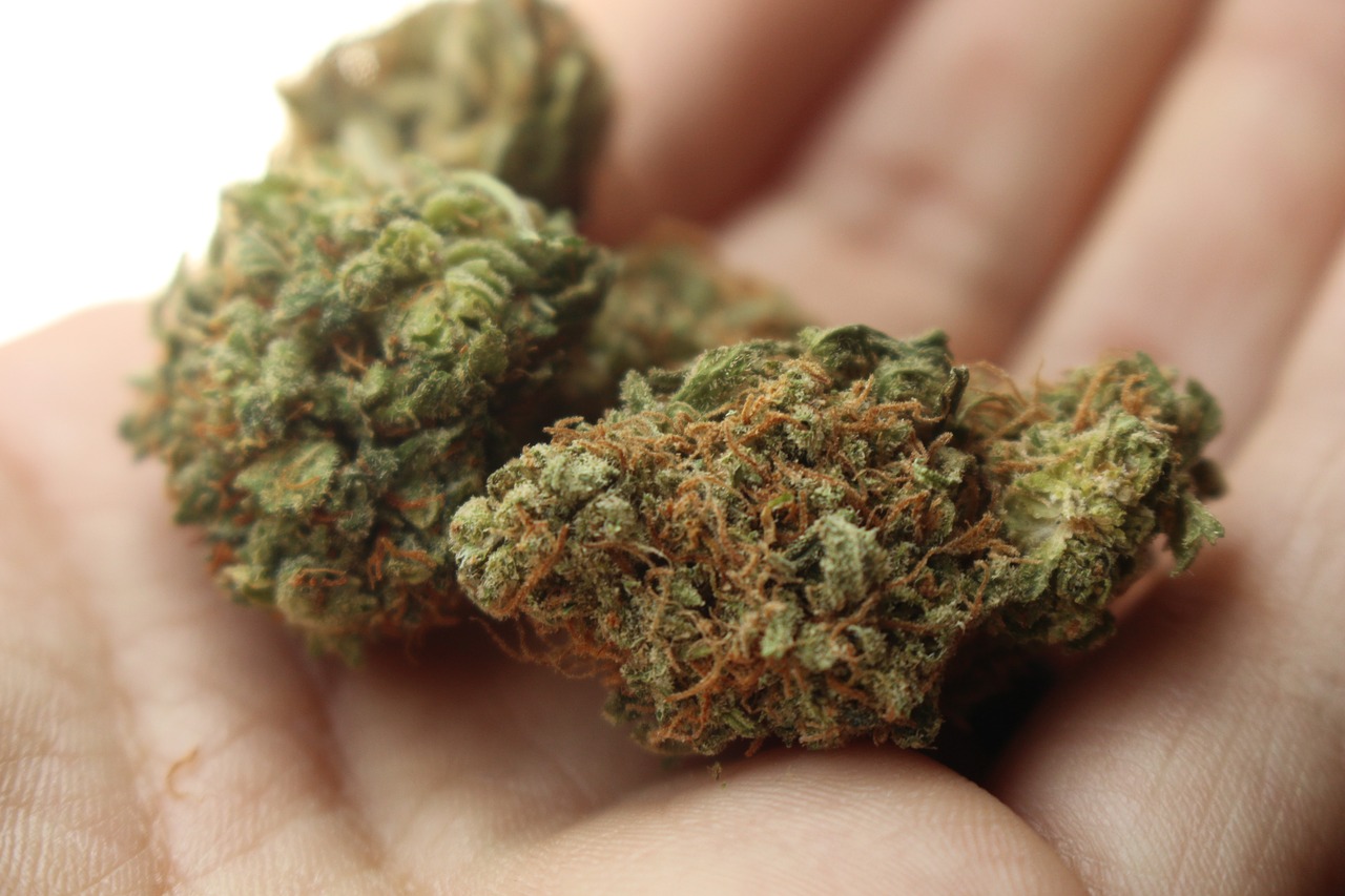 America’s Trusted Relief Shop: Buy Therapeutic Cannabis Online